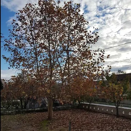 Beautiful In The Center Of Trikala. Tríkala
